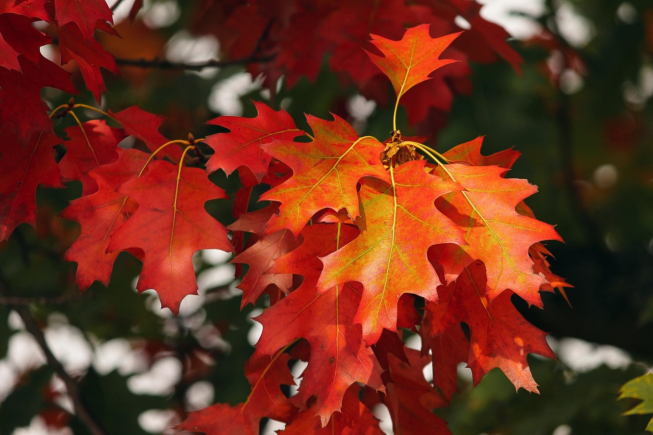 Herbstferien 2025